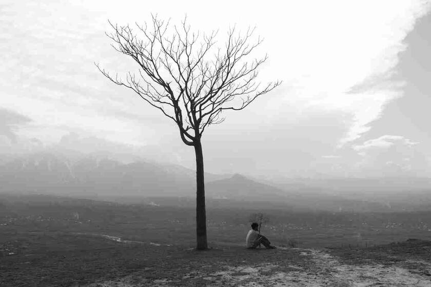 每天跑步锻炼一定健康吗(能达到锻炼的效果吗)