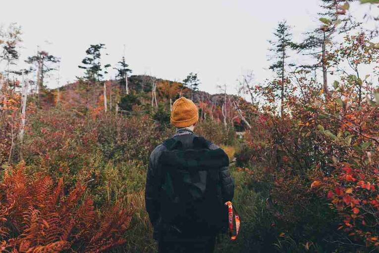 每天啥时候适合跑步锻炼？什么时候跑步锻炼身体是最佳时间